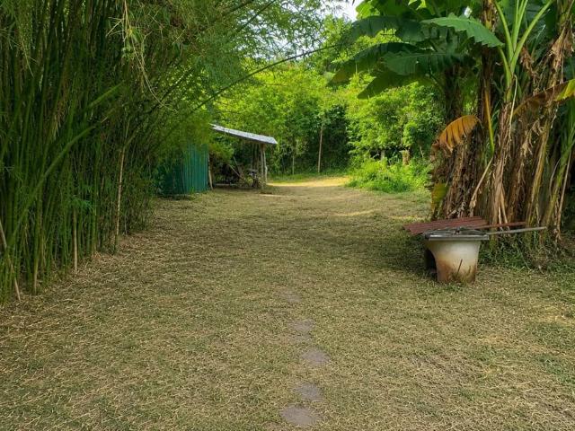 Terreno / Lote para Venda em Porto Alegre/RS Nonoai