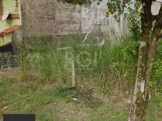 Terreno / Lote para Venda em Porto Alegre/RS Nonoai