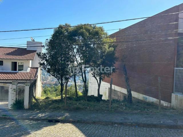Terreno / Lote para Venda em Porto Alegre/RS Nonoai