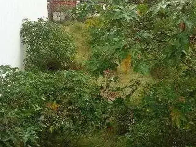 Terreno / Lote para Venda em Porto Alegre/RS Nonoai