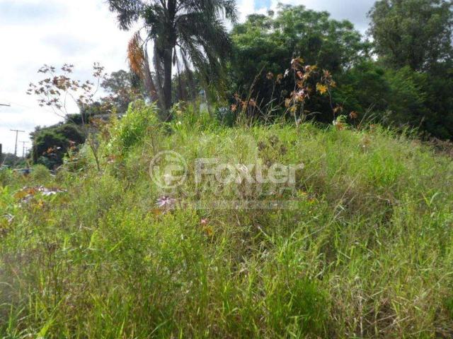 Terreno / Lote para Venda em Porto Alegre/RS Partenon