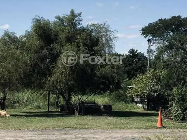 Terreno / Lote para Venda em Porto Alegre/RS Passo das Pedras