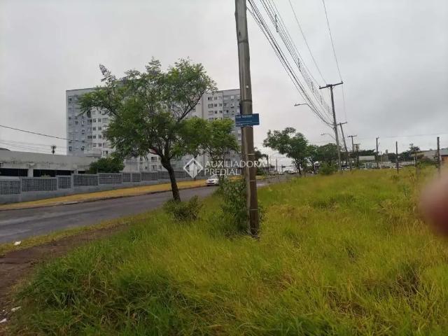 Terreno / Lote para Venda em Porto Alegre/RS Passo das Pedras