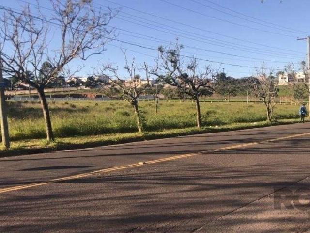 Terreno / Lote para Venda em Porto Alegre/RS Passo das Pedras