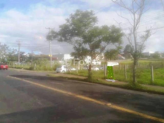 Terreno / Lote para Venda em Porto Alegre/RS Passo das Pedras