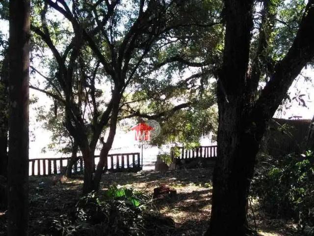 Terreno / Lote para Venda em Porto Alegre/RS Pedra Redonda