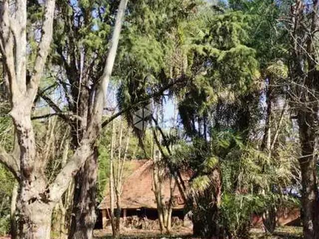 Terreno / Lote para Venda em Porto Alegre/RS Pedra Redonda