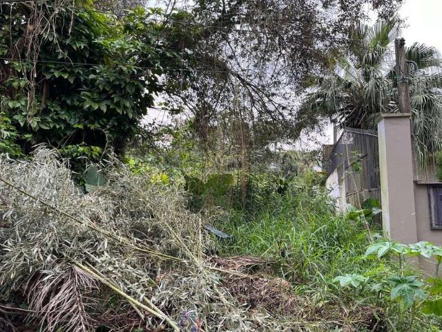 Terreno / Lote para Venda em Porto Alegre/RS Pedra Redonda