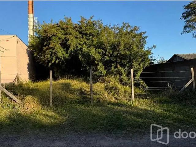 Terreno / Lote para Venda em Porto Alegre/RS Ponta Grossa