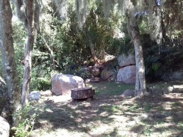 Terreno / Lote para Venda em Porto Alegre/RS Ponta Grossa