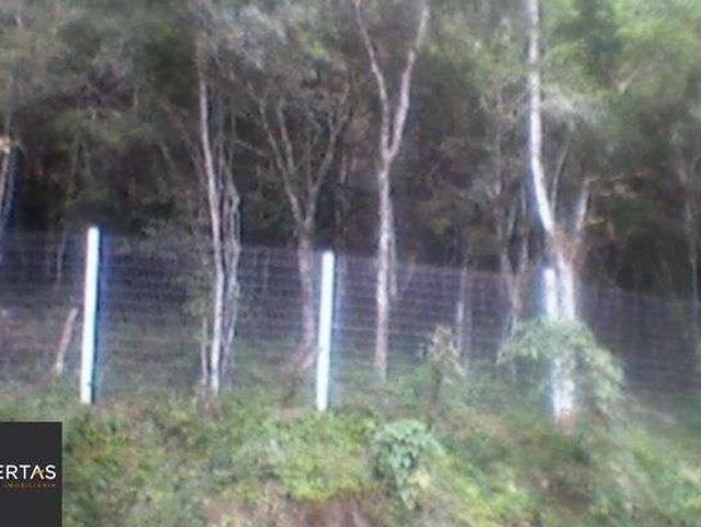 Terreno / Lote para Venda em Porto Alegre/RS Ponta Grossa