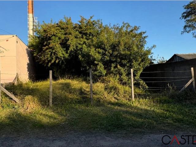 Terreno / Lote para Venda em Porto Alegre/RS Ponta Grossa