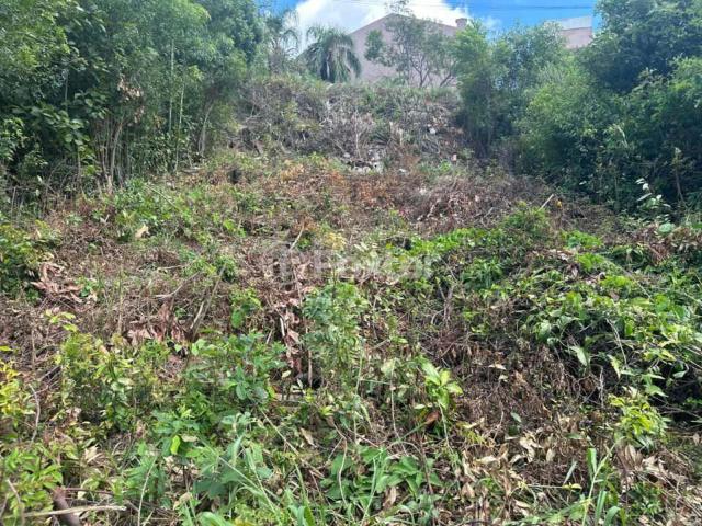 Terreno / Lote para Venda em Porto Alegre/RS Ponta Grossa