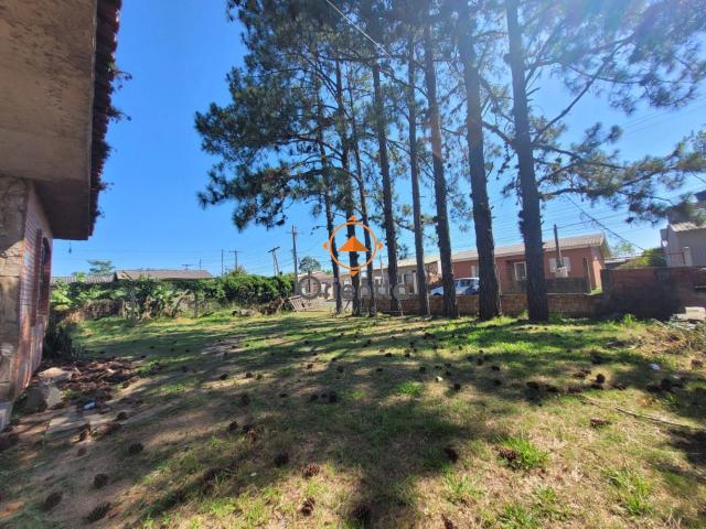 Terreno / Lote para Venda em Porto Alegre/RS Ponta Grossa