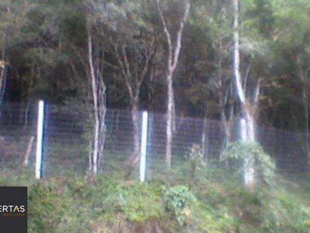 Terreno / Lote para Venda em Porto Alegre/RS Ponta Grossa