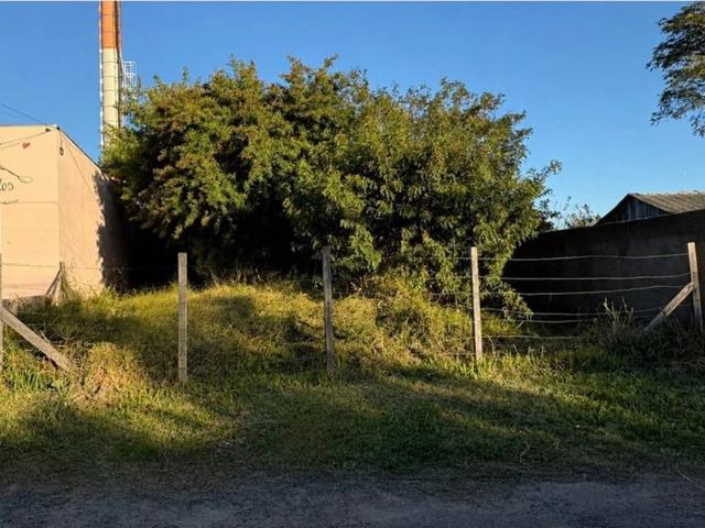 Terreno / Lote para Venda em Porto Alegre/RS Ponta Grossa