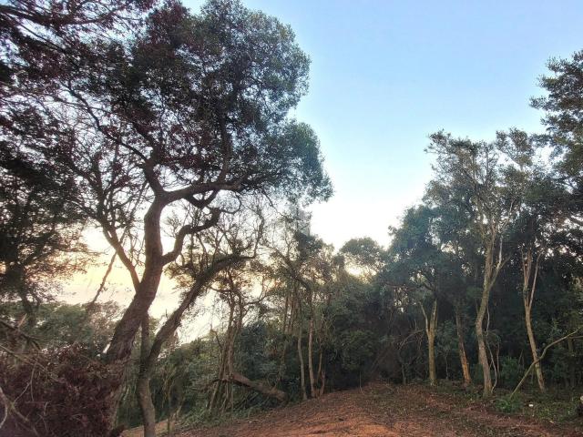 Terreno / Lote para Venda em Porto Alegre/RS Ponta Grossa