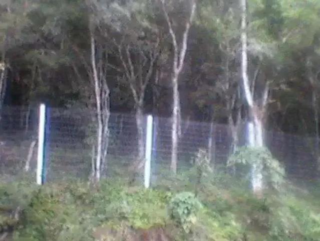Terreno / Lote para Venda em Porto Alegre/RS Ponta Grossa