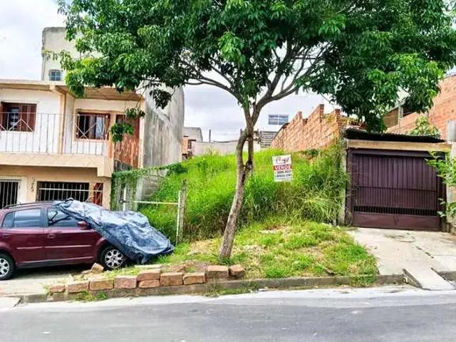 Terreno / Lote para Venda em Porto Alegre/RS Protásio Alves