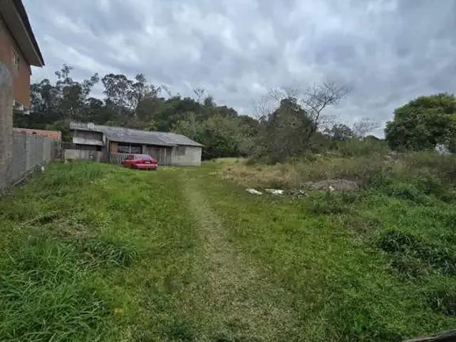 Terreno / Lote para Venda em Porto Alegre/RS Restinga