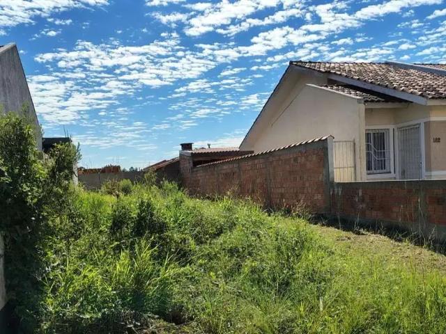 Terreno / Lote para Venda em Porto Alegre/RS Restinga