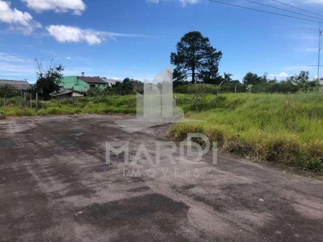Terreno / Lote para Venda em Porto Alegre/RS Restinga