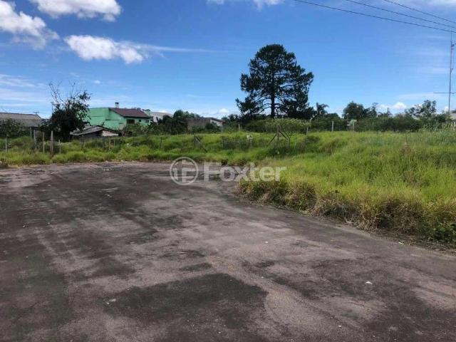 Terreno / Lote para Venda em Porto Alegre/RS Restinga