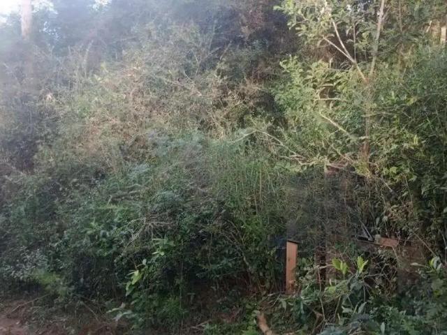 Terreno / Lote para Venda em Porto Alegre/RS Restinga