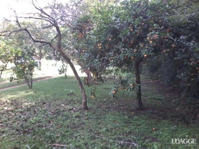 Terreno / Lote para Venda em Porto Alegre/RS Restinga