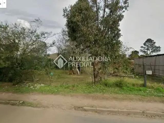 Terreno / Lote para Venda em Porto Alegre/RS Restinga 1 Quartos