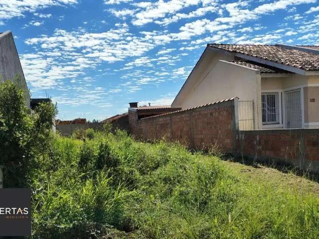 Terreno / Lote para Venda em Porto Alegre/RS Restinga