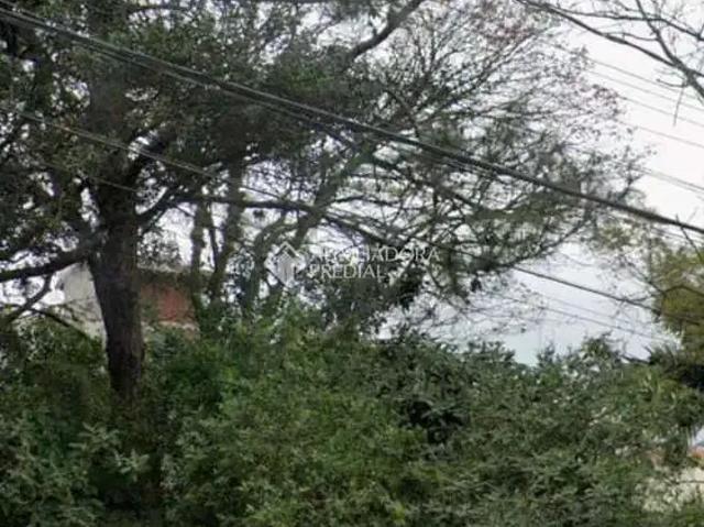 Terreno / Lote para Venda em Porto Alegre/RS Rubem Berta