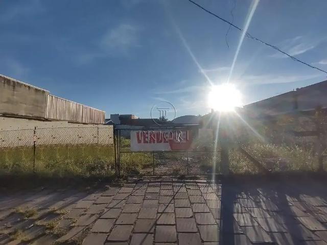 Terreno / Lote para Venda em Porto Alegre/RS Santa Maria Goretti
