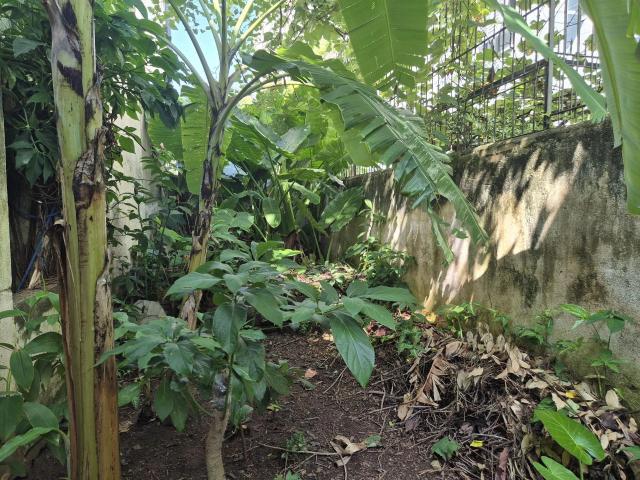 Terreno / Lote para Venda em Porto Alegre/RS Santana