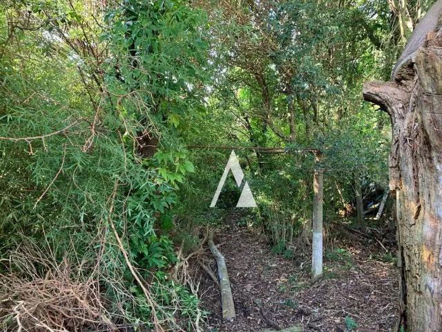 Terreno / Lote para Venda em Porto Alegre/RS Santo Antônio