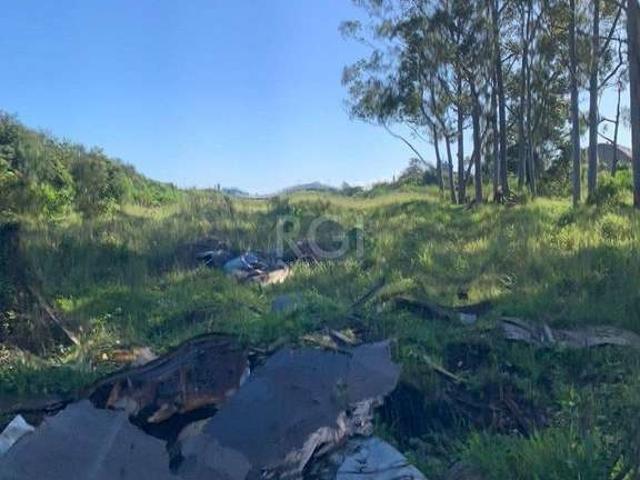 Terreno / Lote para Venda em Porto Alegre/RS Sarandi