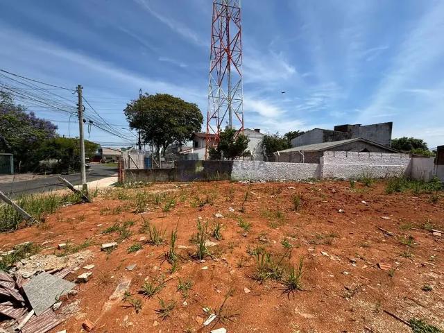Terreno / Lote para Venda em Porto Alegre/RS Sarandi