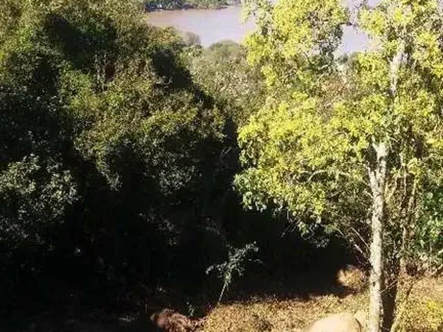 Terreno / Lote para Venda em Porto Alegre/RS Sétimo Céu