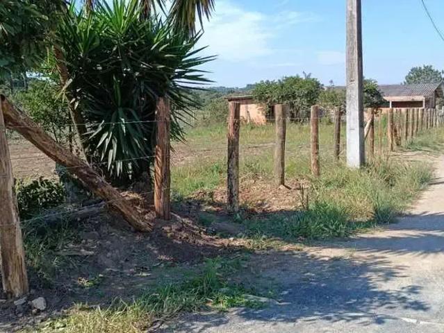 Terreno / Lote para Venda em Porto Amazonas/PR Porto Velho
