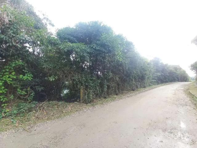 Terreno / Lote para Venda em Porto Belo/SC Araçá