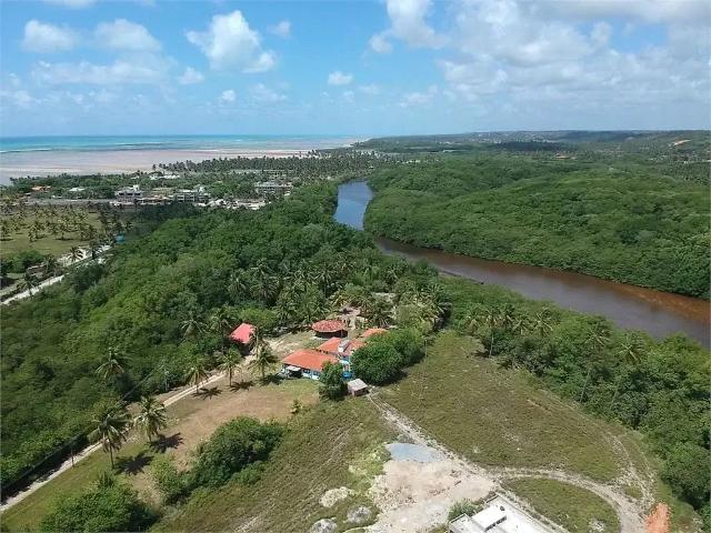 Terreno / Lote para Venda em Porto de Pedras/AL Praia de Tatuamunha