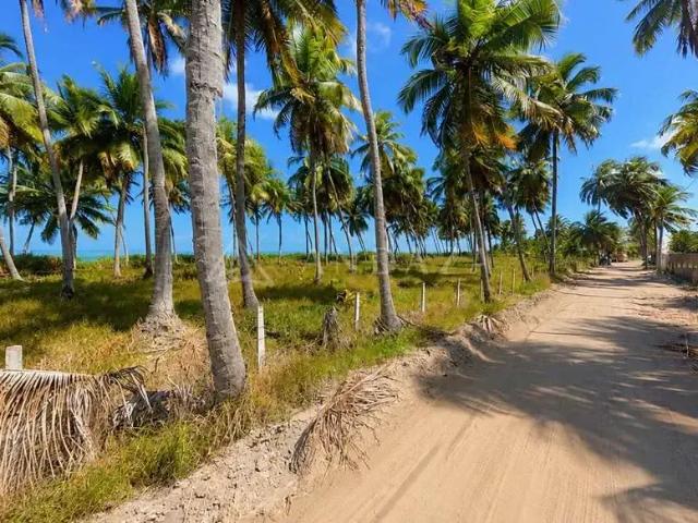 Terreno / Lote para Venda em Porto de Pedras/AL Praia do Patacho