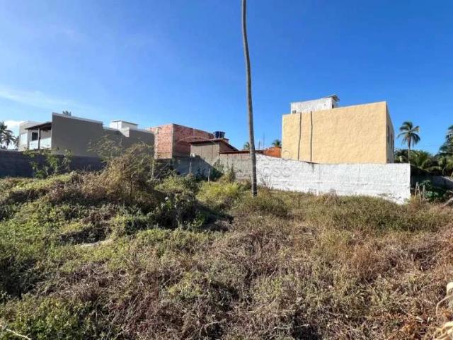 Terreno / Lote para Venda em Porto de Pedras/AL Praia do Patacho