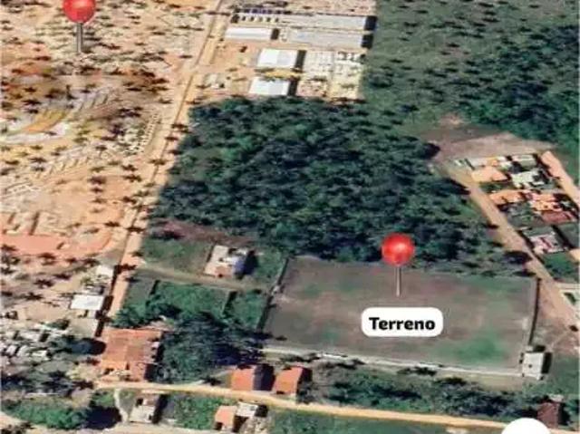 Terreno / Lote para Venda em Porto de Pedras/AL Praia do Patacho