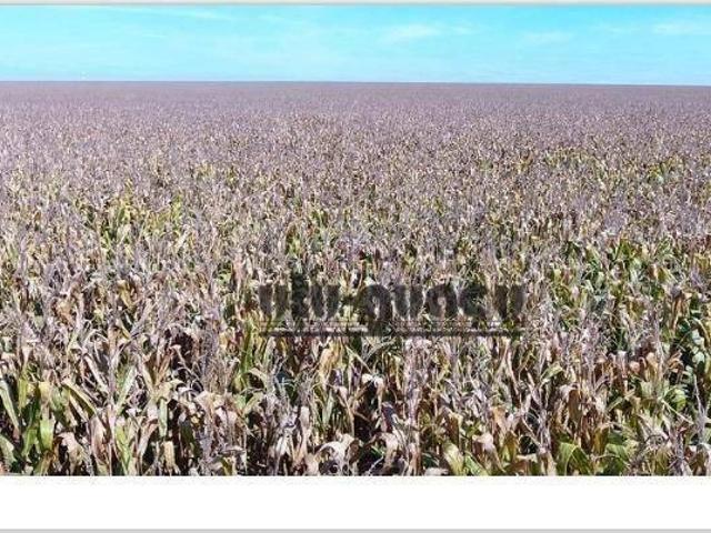 Terreno / Lote para Venda em Porto Feliz/SP Itaqui
