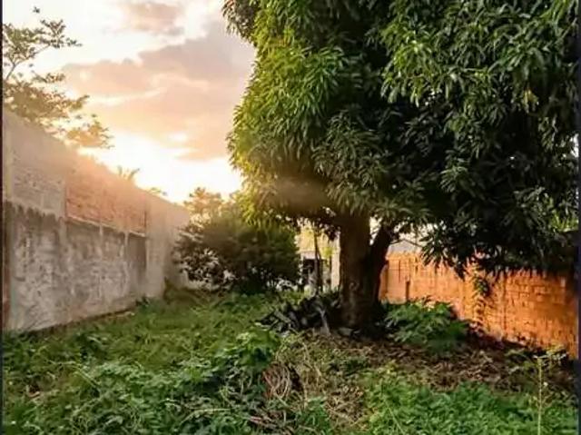 Terreno / Lote para Venda em Porto Nacional/TO Jardim Querido