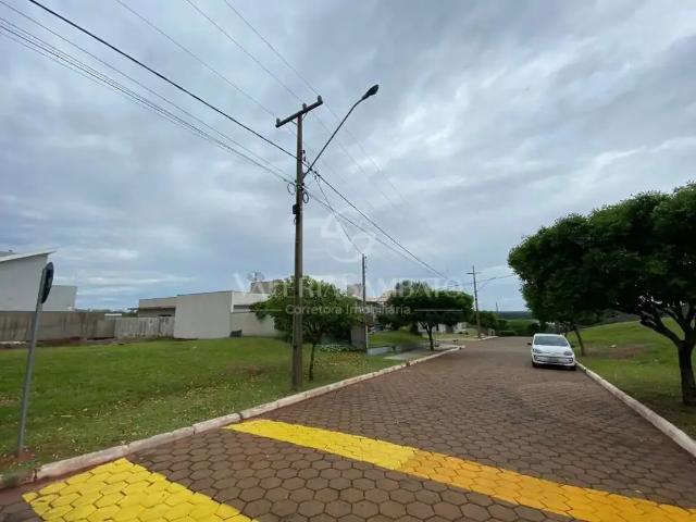 Terreno / Lote para Venda em Porto Rico/PR Centro