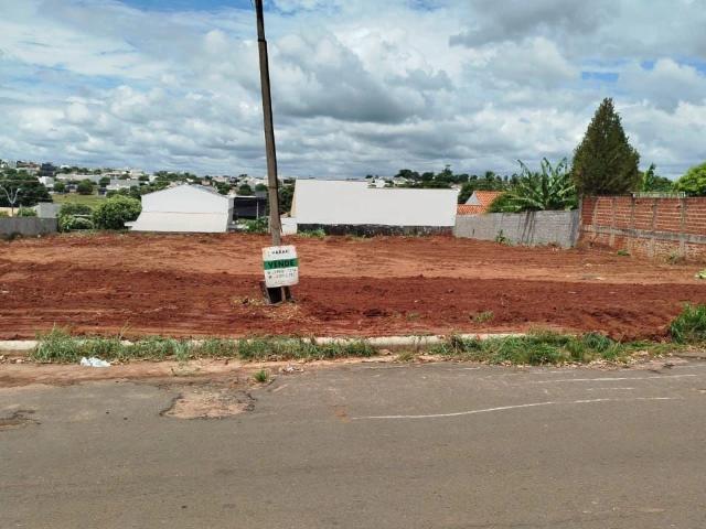Terreno / Lote para Venda em Porto Rico/PR Centro