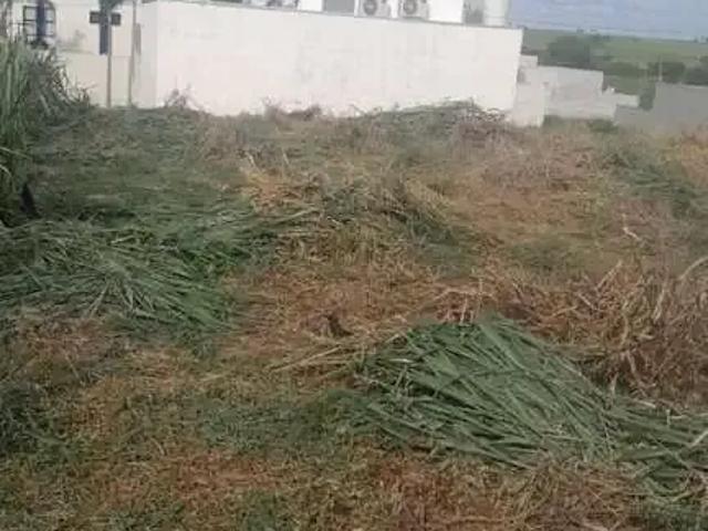 Terreno / Lote para Venda em Porto Rico/PR Loteamento Riviera