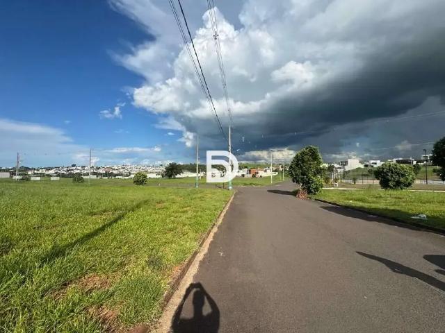 Terreno / Lote para Venda em Porto Rico/PR Loteamento Riviera